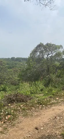Đất đẹp ven sông Sêrêpok