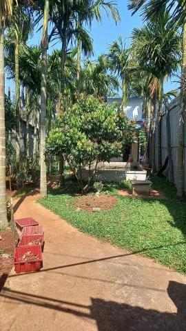Bán đất 493.3m² có sẵn 75m² thổ cư ngang 10.0m giá 1.95 tỷ tại Phường Cư Bao