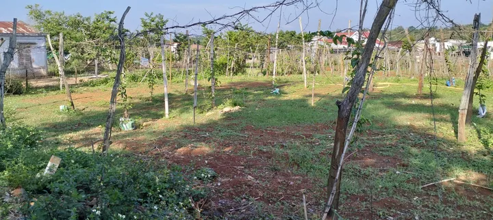 Bán đất chính chủ phường Buôn Hồ mới