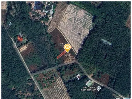 0931.783.209 Bán đất 312.1m² có sẵn 100m² thổ cư ngang 5m giá 395 triệu tại Xã Tân Khai