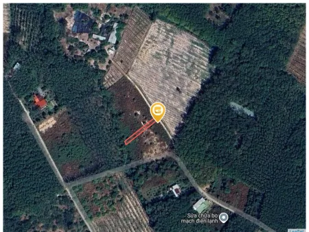 0931.783.209 Bán đất 310.9m² có sẵn 100m² thổ cư ngang 5m giá 385 triệu tại Xã Tân Khai