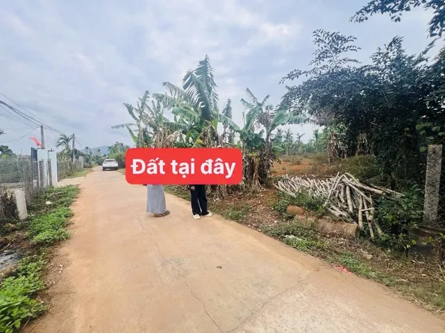 Gần hồ đội 56 Eaning - Cưkuin - ĐakLak 
DT : 5x18 (92m2) - 60m TC 
💰Giá : 169tr 
Mặt tiền đường bê tông, xe hơi tận đất. Khu dân cư hiện hữu . Cách sbay✈️ BMT~18km