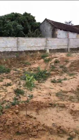 CÔNG TY CHÚNG TÔI CẦN CHO THUÊ ĐẤT , LẠNG GIANG , BẮC GIANG