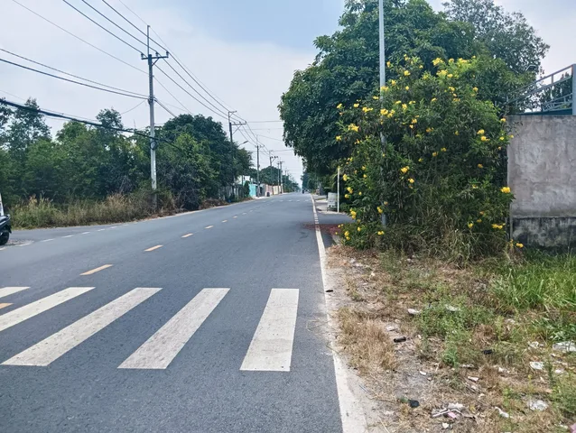 Bán đất mặt tiền buôn bán kinh doanh MT đường Nguyễn Văn Khạ xã Phú Hòa Đông Củ Chi TPHCM, DT: 5x26m.