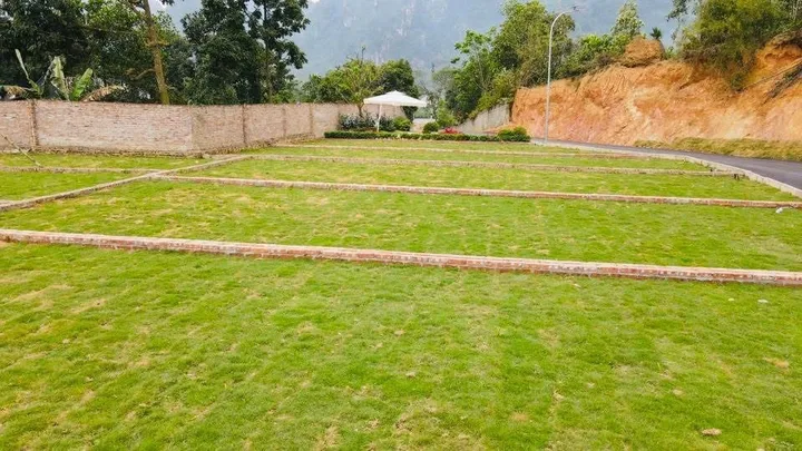 Bán đất sổ đỏ trao tay chỉ 2 cây vàng