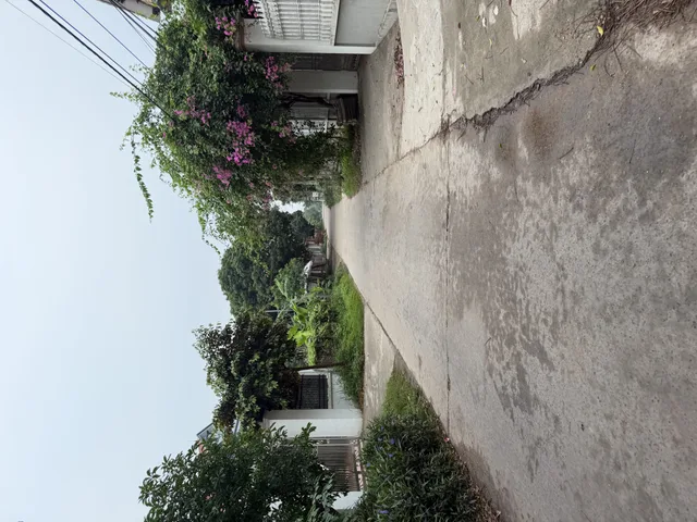 BÁN ĐẤT MÃ QUẦN XÃ BẮC LÝ TỈNH BẮC NINH