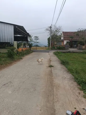 📌📌📌LÀM VIỆC TRỰC TIẾP GIÁ TỐT !!! Bán đất thôn An Trạch, xã Hòa Tiến