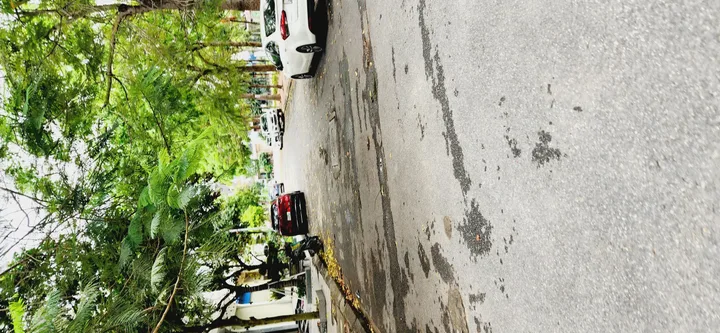 ❌❌❌ SIÊU PHẨM ĐẤT VIEW VƯỜN HOA – KĐT MỚI SỞ DẦU, HỒNG BÀNG ❌❌❌