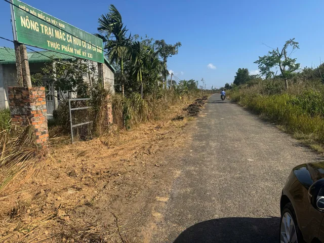 Đất bám đường bê tông 200m