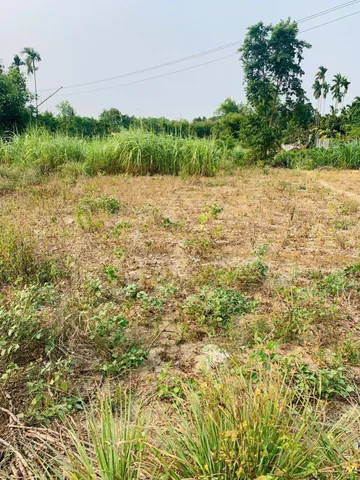 Bán đất 119.4m² có sẵn 119m² thổ cư ngang 5m giá 325 triệu tại Xã Nghĩa Giang