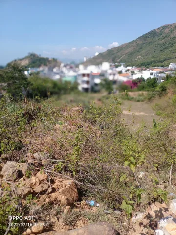 Bán đất 798.5m² ngang 10m giá 7.98 tỷ tại Phường Bắc Nha Trang