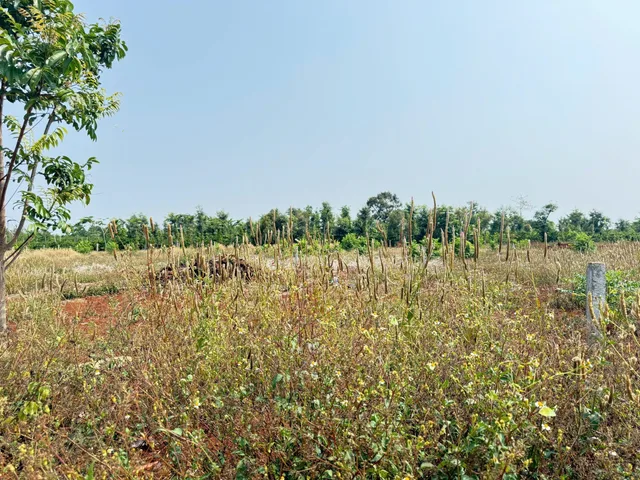 Bán đất 100m² full thổ cư ngang 5.0m giá 750 triệu tại Phường Thành Nhất