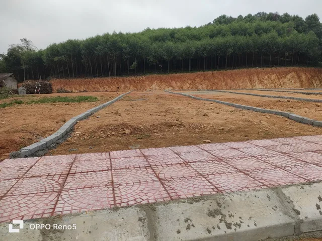 chủ xả lỗ gấp lô đất siêu đẹp tại Thọ Sơn 5×38m , (184m2 có 120m2 thổ cư )