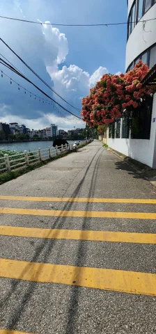 💥 BÁN ĐẤT TẶNG NHÀ – VIEW HỒ BỒ ĐỀ - VIEW TRIỆU ĐÔ