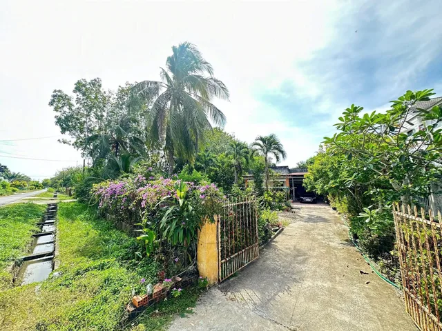 Bán đất 2031m² có sẵn 1000m² thổ cư ngang 22,6m giá 8 tỷ tại Đường Phường 1 Phường Tân Ninh