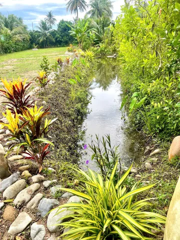 BÁN NHANH LÔ ĐẤT VƯỜN SUỐI TIÊN Nay là Suối Hiệp -Diên Khánh- Khánh Hoà 
-Diện Tích : 1364,9m Ngang 20m Nở hậu
-Đối diện khu du lịch suối tiên và khu dân cư hiện hữu
-Đường rộng 12m thông đi các hướng 
-cách Ubnd xã, chợ , trường học tầm 1km.cách tttp