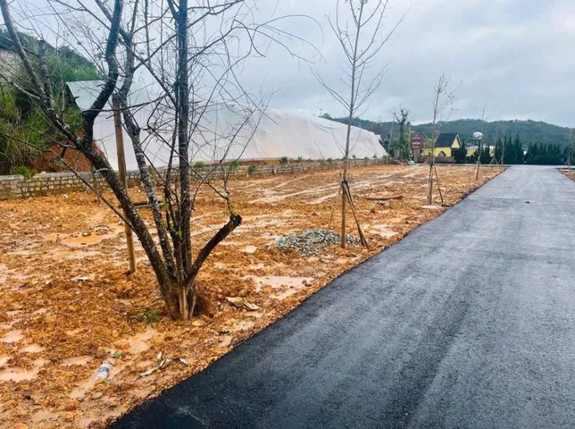 Bán lô đất VIP đường Đống Đa P3 Đà Lạt
