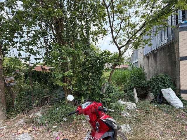 🔥 MẶT TIỀN TỈNH LỘ 15 – 161m² CHỈ 550 TRIỆU, TÂN THẠNH ĐÔNG CỦ CHI 🔥
