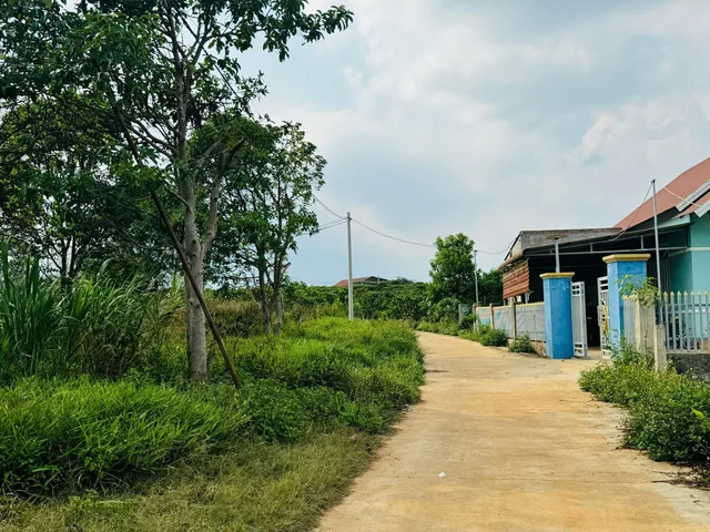Đất trung tâm xã Nam Hà chỉ 300m ra đường nhựa lớn. Giá 1 tỷ 310. DT 1000m2. sẵn 200m thổ cư