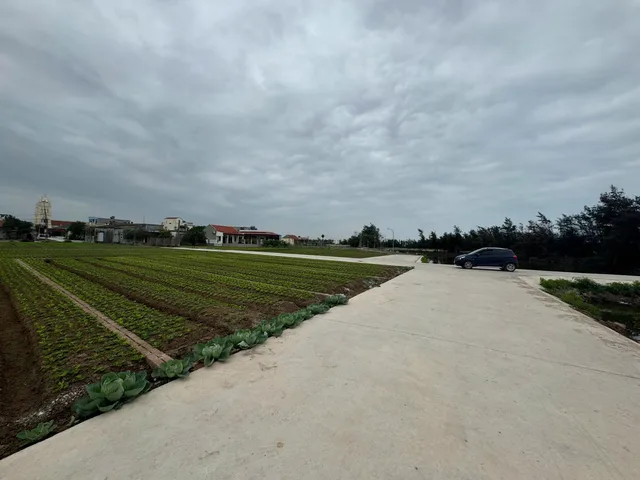 Đất full thổ mặt trục chính