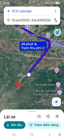 Đất trồng cây lâu năm