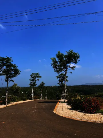 BÁN ĐẤT DI LINH VÙNG VEN ĐÀ LẠT – GIÁ CHỈ 3XX TRIỆU, CƠ HỘI ĐẦU TƯ TỐT