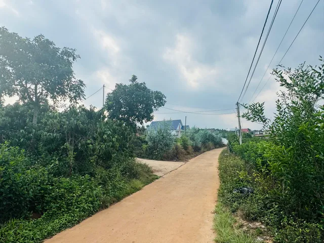 Đất tt Nam Ban chỉ 600m ra đường nhựa. DT gần 1.6 Sào. Sẵn 900m Thổ Cư. Giá 5.9 tỷ