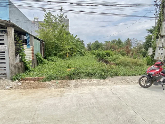 Bán 233,9m² đất thổ cư, Ấp 3 Tân Bửu, Bến Lức, Giá 3,4 tỷ cách 300m đường Nguyễn Hữu Trí