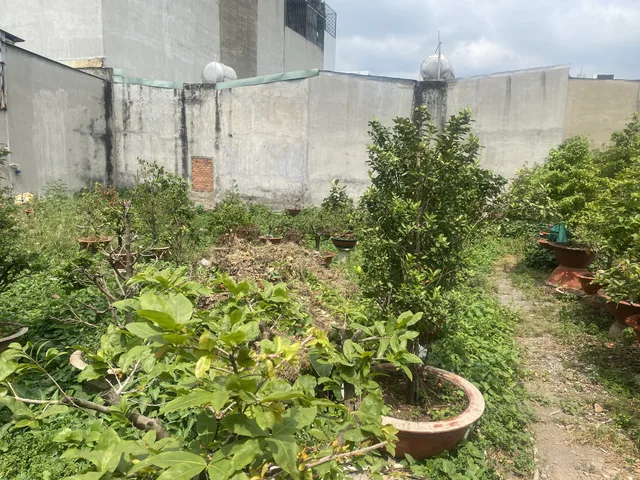 Đất full thổ cư