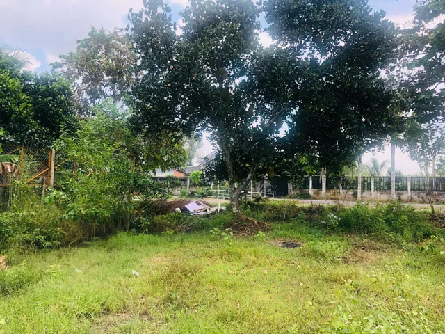 Bán đất mặt tiền kênh xã Nhuận Đức, Củ Chi, 552m², View kênh thoáng mát, giá tốt