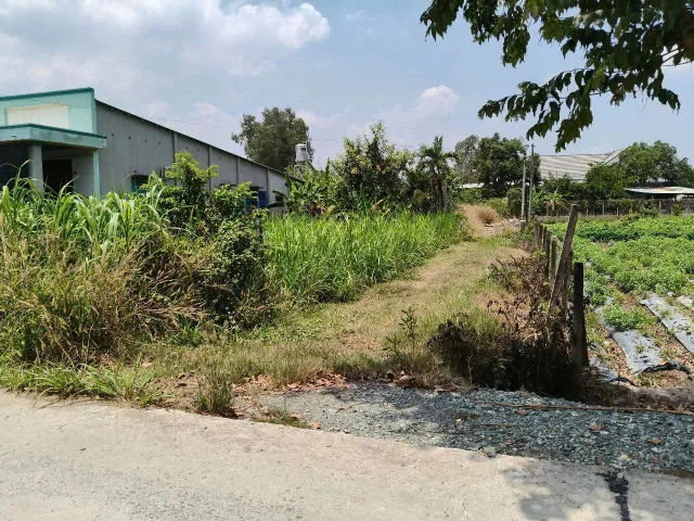 Đất Củ Chi Giá Rẻ – MT Nguyễn Thị Tấm, Phước Thạnh, 545m² full thổ giá 5,5 tỷ