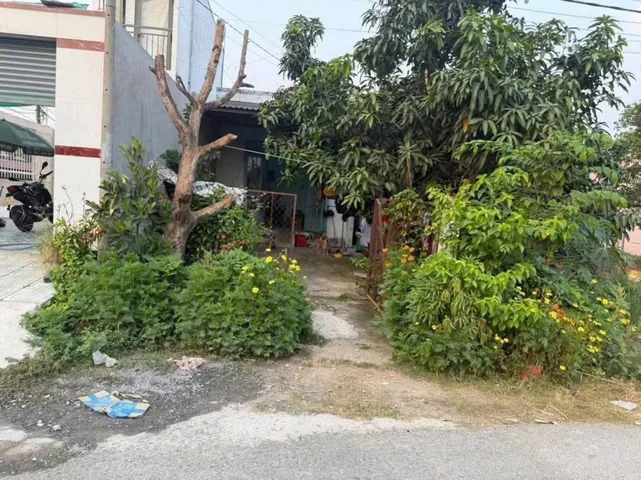 Bán đất 115.5m² có sẵn 90m² thổ cư ngang 5m giá 1.75 tỷ tại Xã Phú Hòa Đông