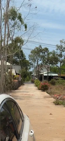 1 mẫu bông trang. 600 thổ cư. Cực đẹp
