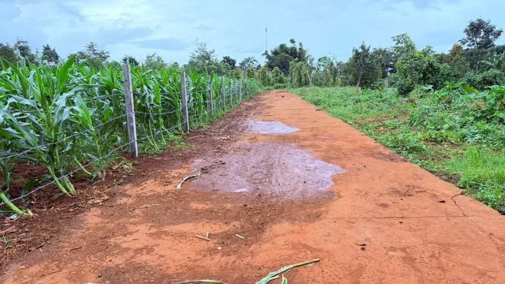 vị trí đẹp bên hông ủy ban - công an - trường học - cách KCN chỉ 800m