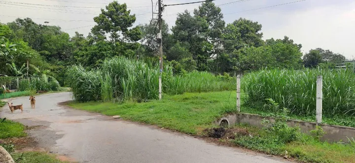 Bán đất 700m² có sẵn 300m² thổ cư ngang 22m tại Xã Thái Mỹ