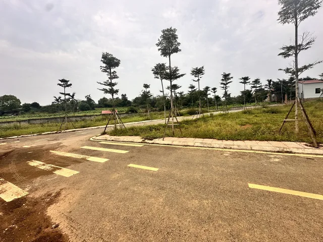 [ẢNH THẬT - VIỆC THẬT] CHÍNH THỨC MỞ BÁN LÔ ĐẤT ĐẸP NHƯ MƠ TẠI PHÚ CÁT , CHỈ TỪ 20tr/m2
