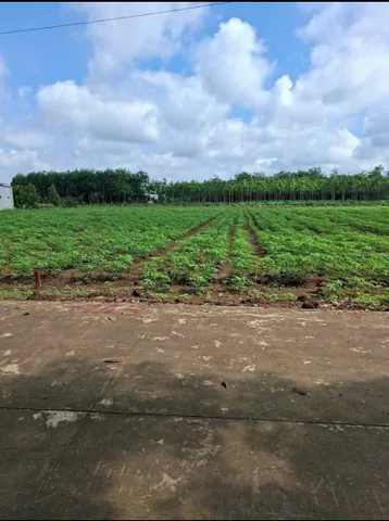 Bán đất 210m² có sẵn 100m² thổ cư ngang 7m giá 290 triệu tại Xã Phước Thành