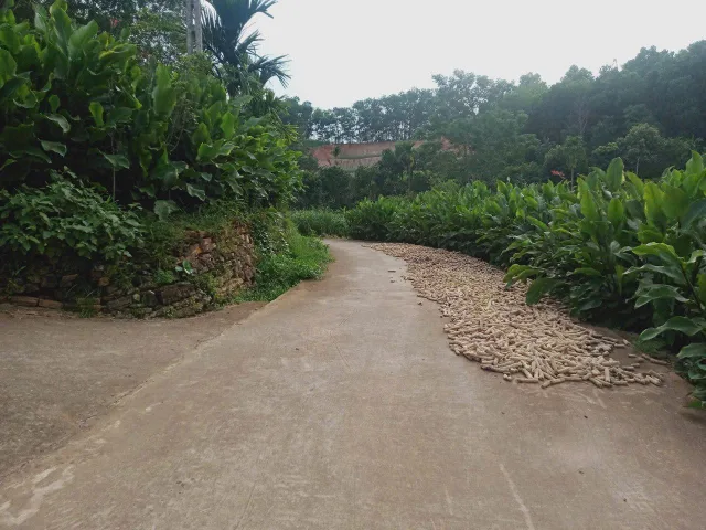 Chỉ với chưa đầy 10 tỷ có ngay lô đất thôn Sổ, Minh Quang, Ba Vì, Hà Nội. Nay là xã Ba Vì mới