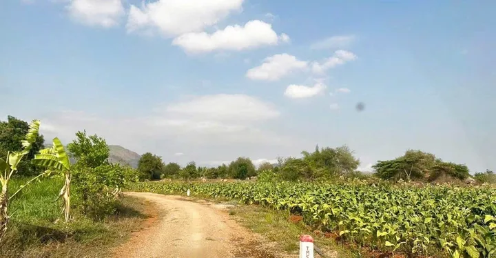 Đất Vườn 1000m² - 145 triệu – Mỹ Sơn, Khánh Hòa