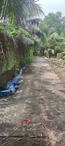Bán đất 1.1 công đất thuộc Bình Phong Tân Mỹ Chánh cách HL86C nhà hàng Lộc Anh 150m đường ô tô