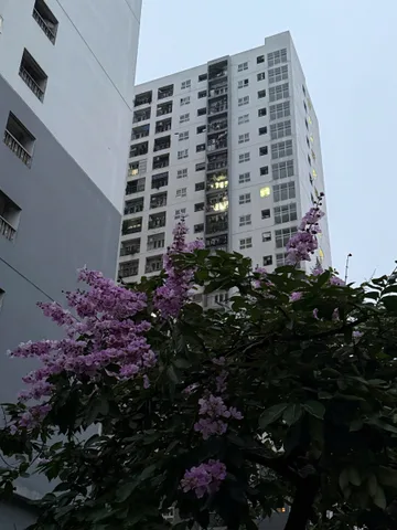 🔥 CC Building View Hồ – Căn 2PN Đẹp Hiếm – Giảm Sốc 450TR Chỉ Còn 5.2 Tỷ!
