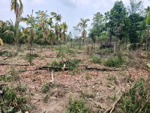Bán đất 8000m² ngang 50m giá 2.2 tỷ tại Xã Ea Nuôl