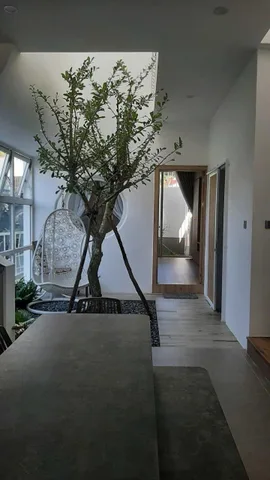 🏠 HOT HOMESTAY MT NGUYỄN HỮU HÀO - GẦN BIỂN - DÒNG TIỀN - 10.X TỶ