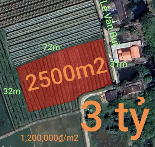 Bán đất 2500m² ngang 31m giá 3.3 tỷ tại Xã Vàm Cỏ
