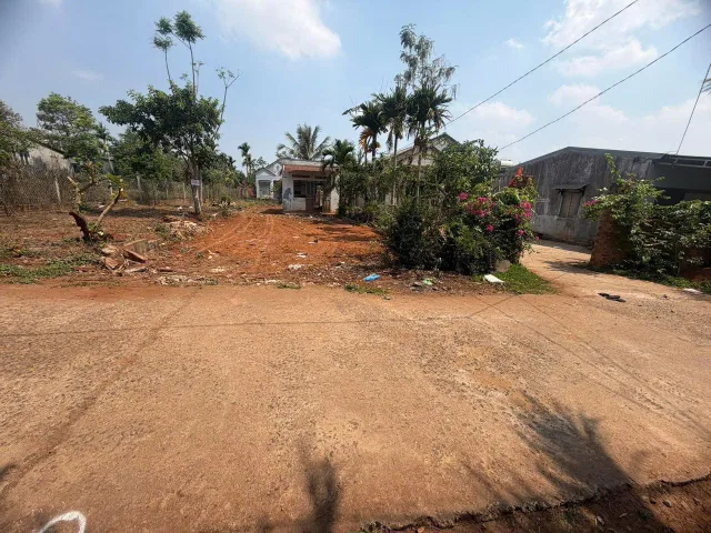 KOMLEO - HOÀ THẮNG -P TÂN LẬP