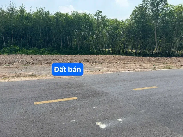 Bán đất 250m² có sẵn 100m² thổ cư ngang 5m giá 749 triệu tại Xã Long Hòa