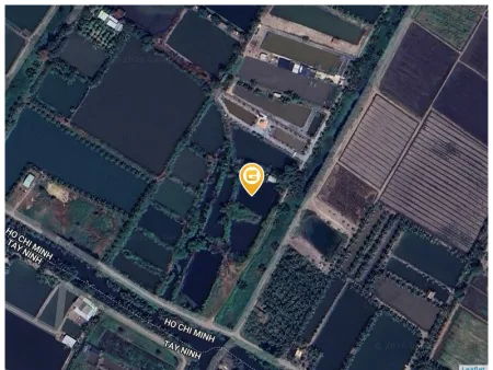 1000m2 (26x44m) đất CLN đường Kênh ông Thân, Bình Lợi, Bình Chánh, giá 2.9 tỷ TLCC