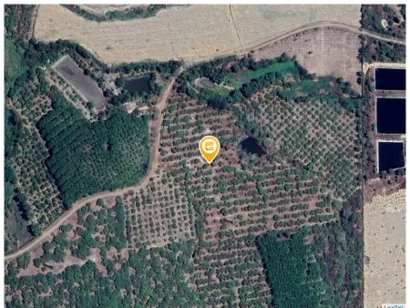 Bán đất 31.802m² ngang 100m giá 5.36 tỷ tại Xã Hòa Phú