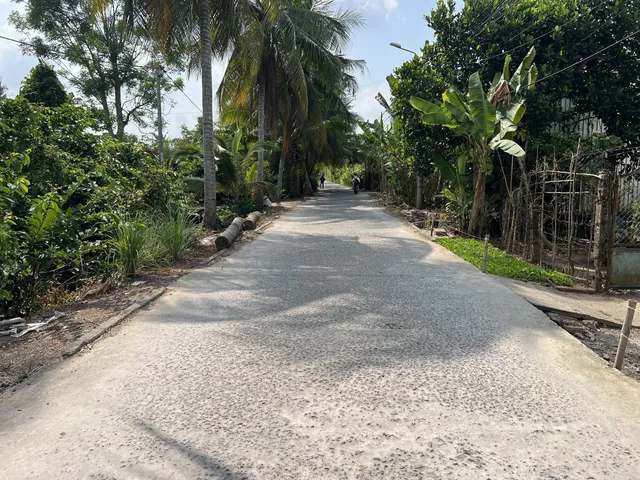 Hơn 1000m2 có 300m2 ODT mặt tiền Đặng Văn Dầy khu Ngân Thuận( đã tách đủ 5 nền) giá đầu tư