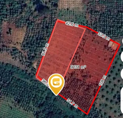 Bán đất 9131.1m² ngang 100.0m giá 3.3 tỷ tại Xã Ea Kiết